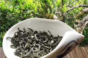trà ngon nổi tiếng nhất Việt Nam