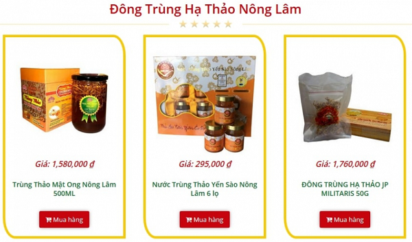 Đông trùng hạ thảo nông lâm