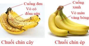 kiểm tra nhanh thực phẩm có bị tẩm hóa chất không