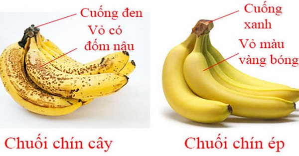 kiểm tra nhanh thực phẩm có bị tẩm hóa chất không