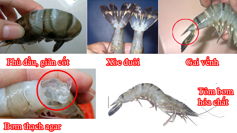 kiểm tra nhanh thực phẩm có bị tẩm hóa chất không