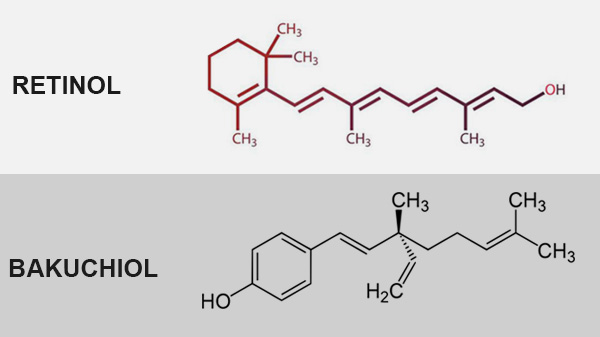 Phân biệt Retinol và Bakuchiol