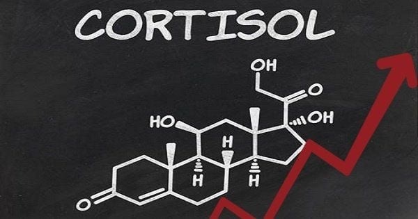 Thói quen nhỏ giúp giảm cortisol – hormone gây căng thẳng