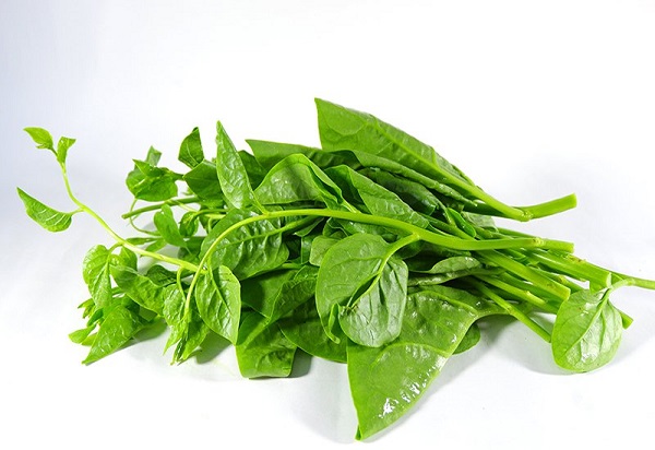 Rau chứa collagen