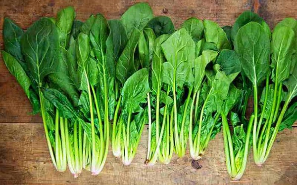 Rau chứa collagen