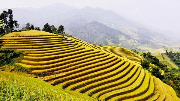 những địa điểm check in ở Hà Giang