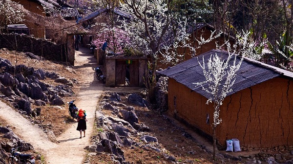 những địa điểm check in ở Hà Giang