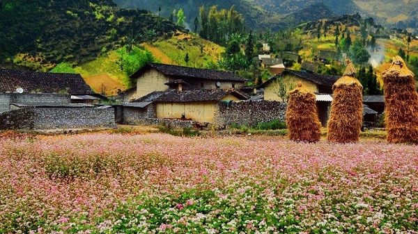 những địa điểm check in ở Hà Giang