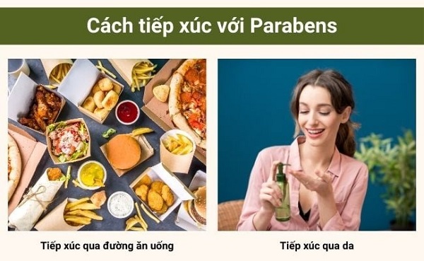Paraben trong mỹ phẩm có hại không