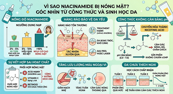 Niacinamide bị nóng mặt: Vì sao xảy ra?